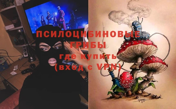 кокс Корсаков