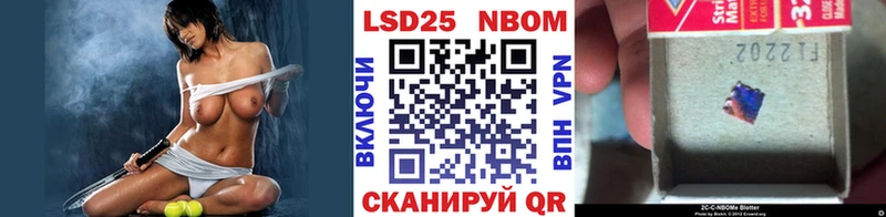 Марки NBOMe 1,5мг цена Куровское