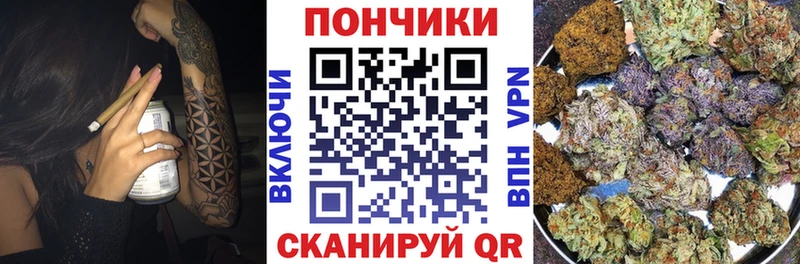 где продают   Куровское  Бошки марихуана планчик 